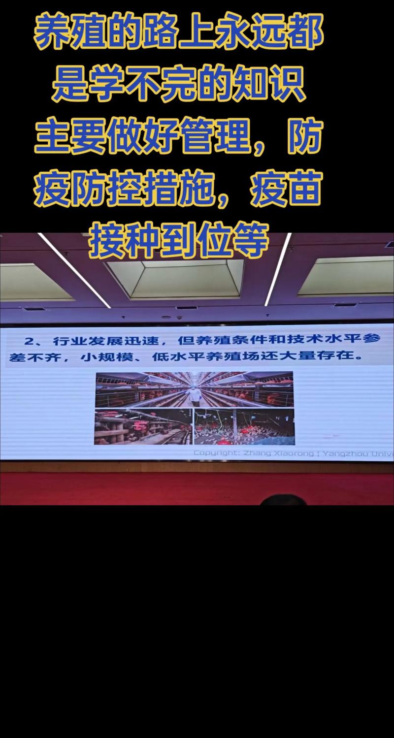 高山养殖基地引领生态农业新潮流
