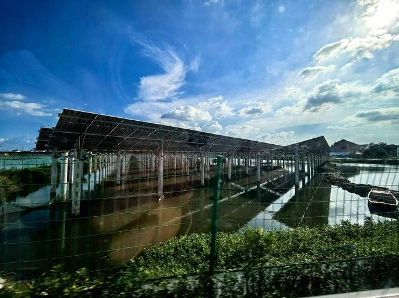 沂南县畜禽养殖合作社：推动农业现代化的新引擎